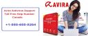 Avira Antivirus Customer Support Number Canada logo